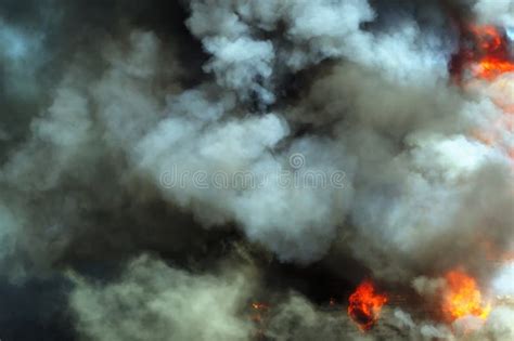 O Incêndio da Grande Colméia: Uma Explosão de Fumo e Mel na África Meridional do Século IV